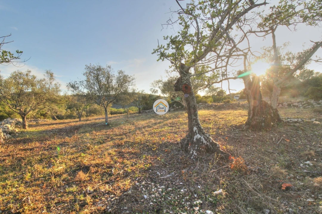 Terreno para Venda em Santa Barbara de Nexe Foto 10