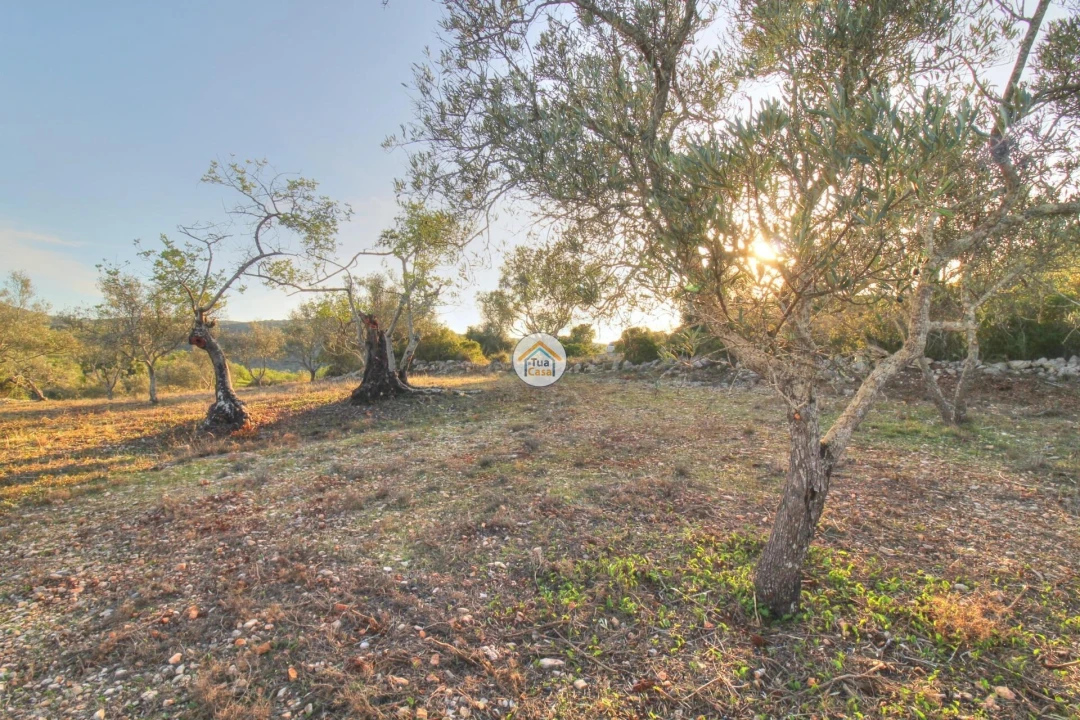 Terreno para Venda em Santa Barbara de Nexe Foto 9