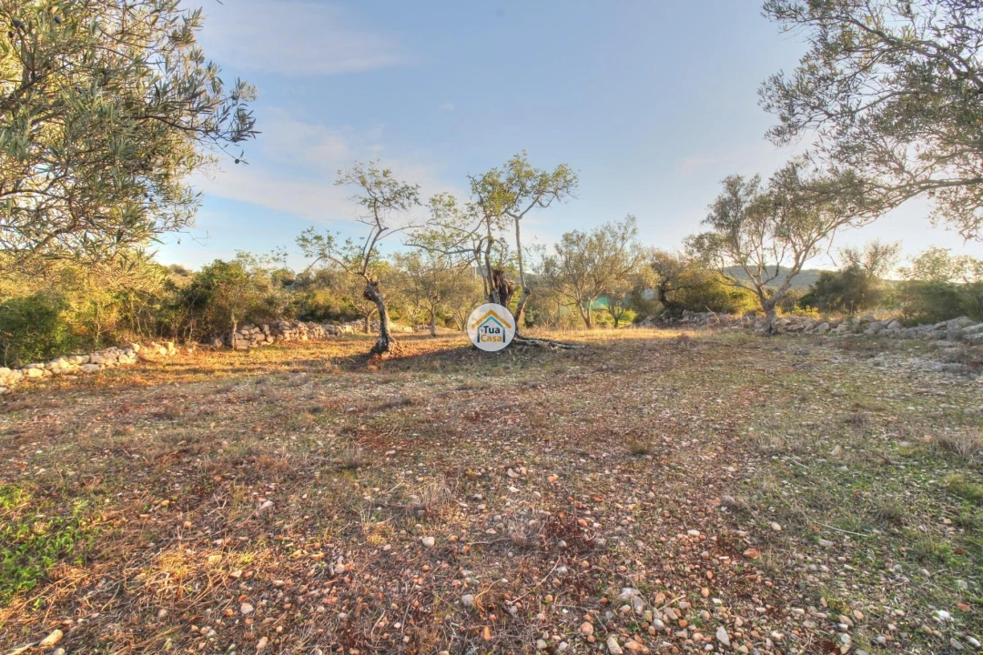 Terreno para Venda em Santa Barbara de Nexe Foto 7