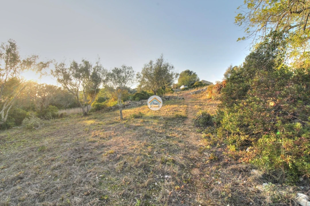 Terreno para Venda em Santa Barbara de Nexe Foto 24