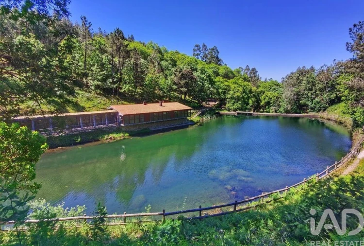 Apartamento T1 para Venda em Espinhal Foto 12