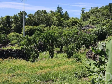 Moradia T1 para Venda em Lajes do Pico
