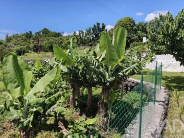 Moradia T1 para Venda em Lajes do Pico