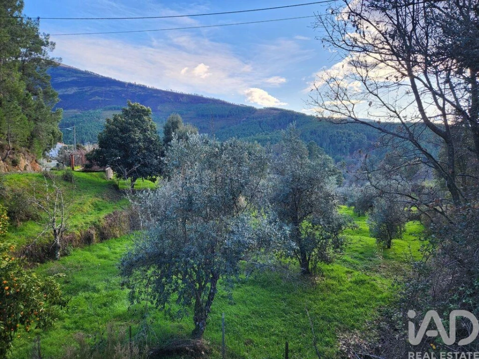 Moradia T3 para Venda em Souto da Casa Foto 15