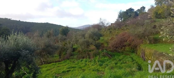 Quinta T3 para Venda em Souto da Casa
