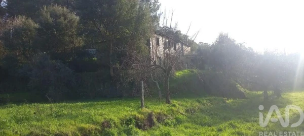 Quinta T3 para Venda em Souto da Casa