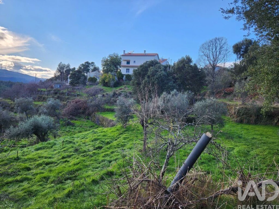 Moradia T3 para Venda em Souto da Casa Foto 24