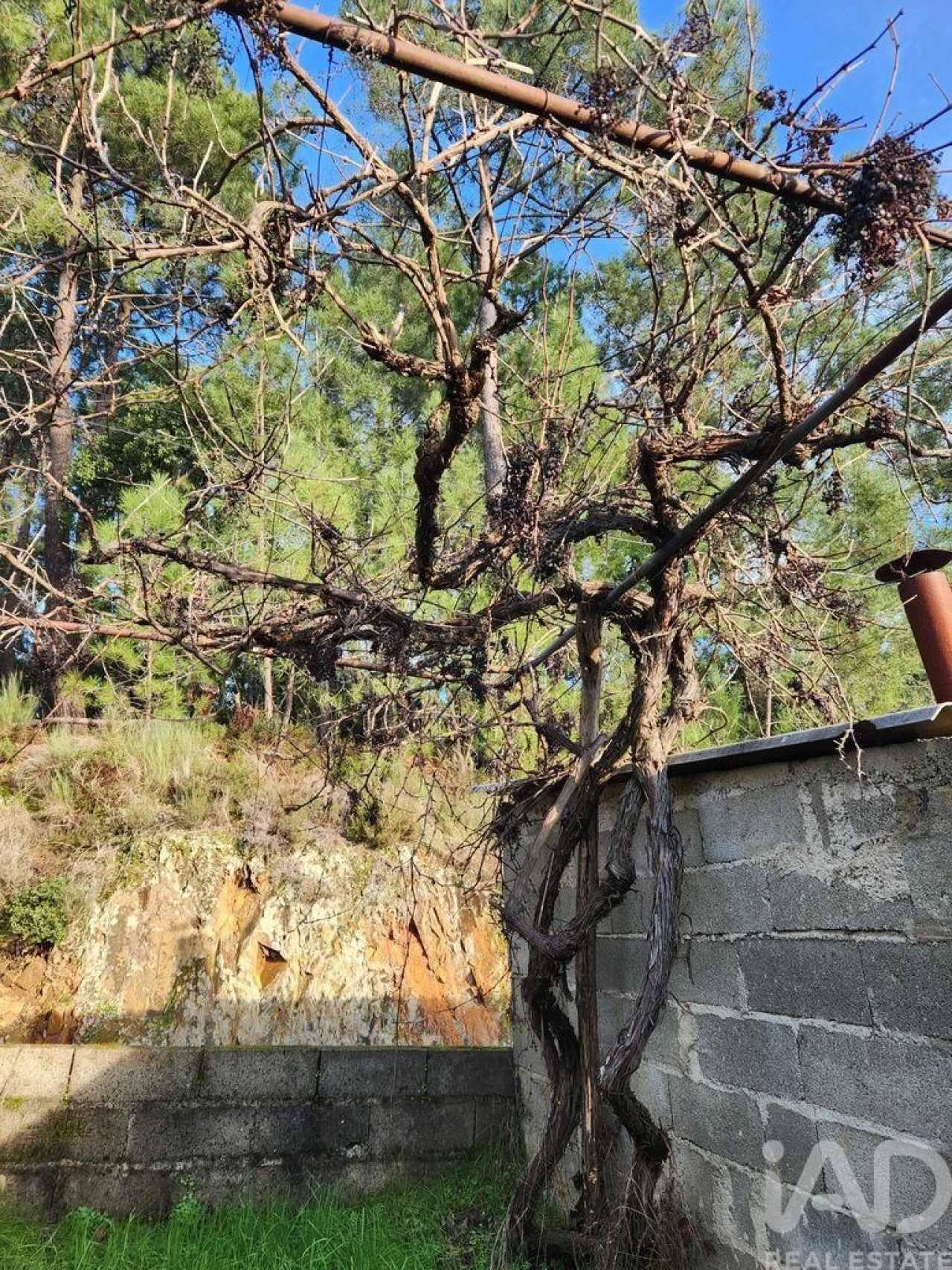 Moradia T3 para Venda em Souto da Casa Foto 11