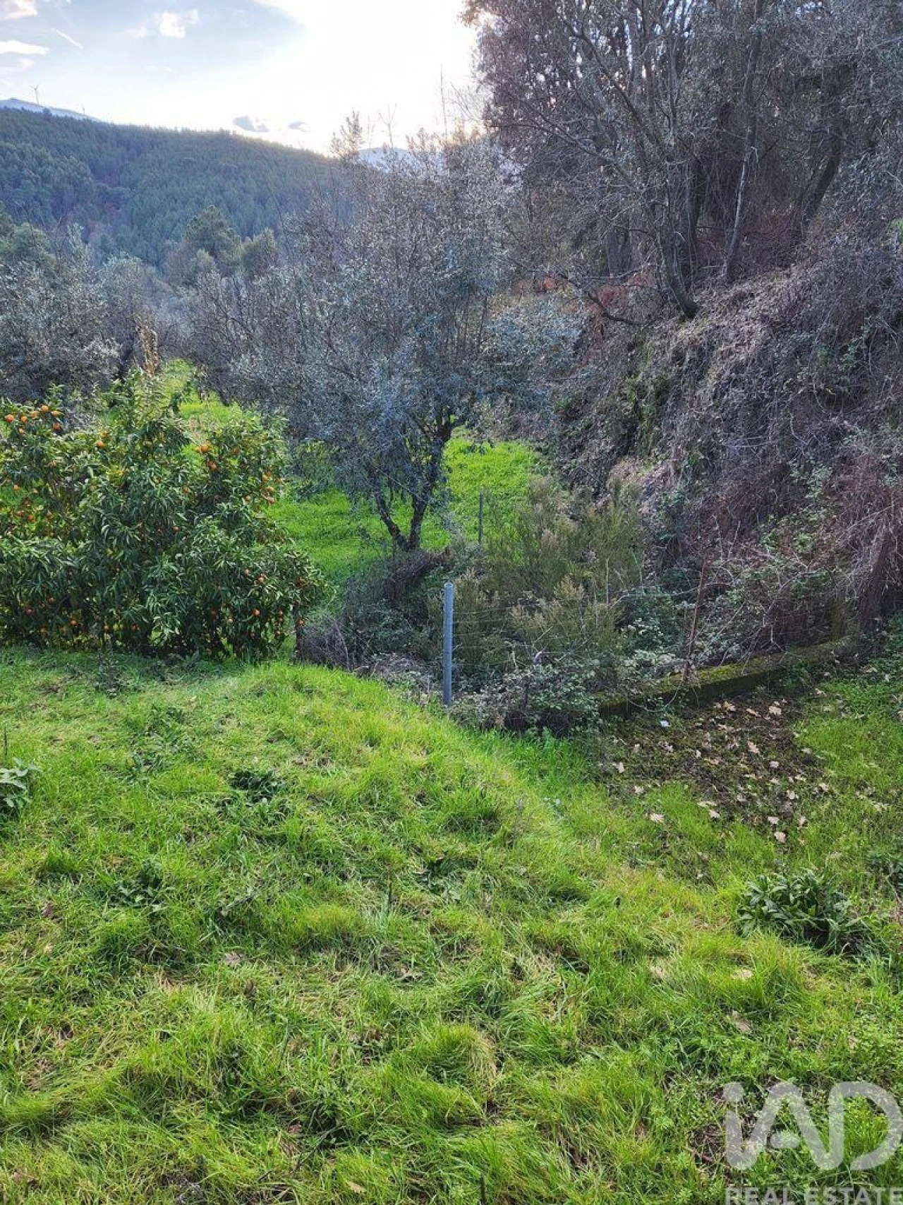 Moradia T3 para Venda em Souto da Casa Foto 21