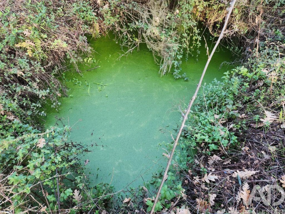 Moradia T3 para Venda em Souto da Casa Foto 12