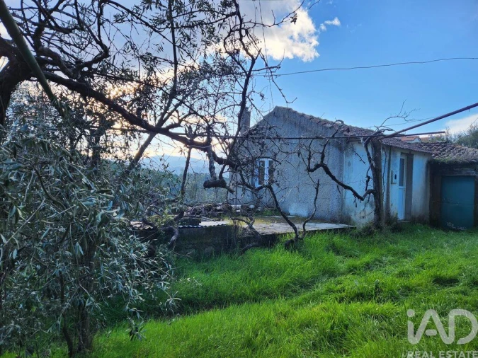 Moradia T3 para Venda em Souto da Casa Foto 22