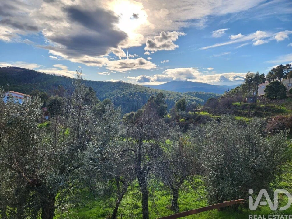 Moradia T3 para Venda em Souto da Casa Foto 26