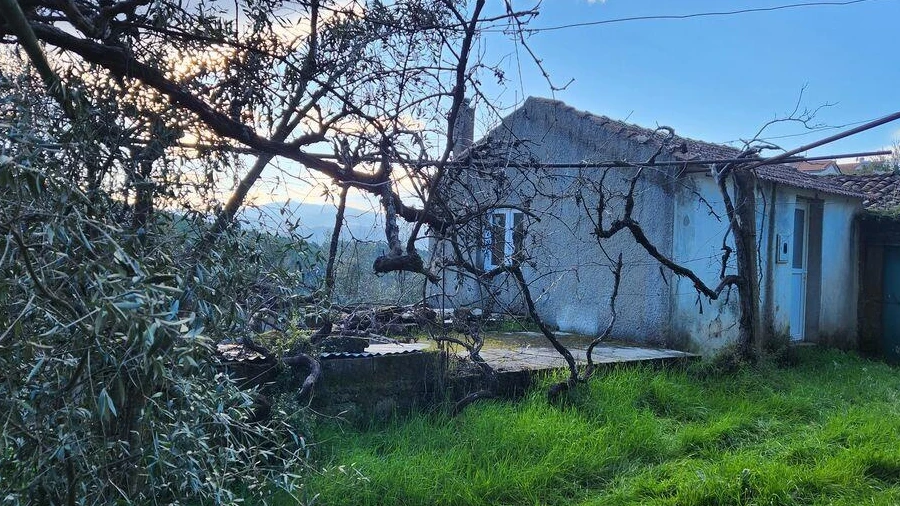 Quinta T3 para Venda em Souto da Casa