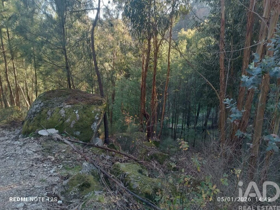 Terreno para Venda em Marco Foto 2