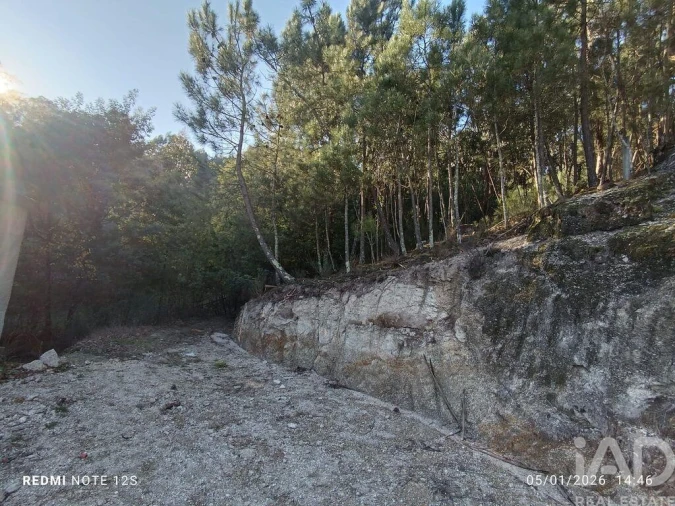 Terreno para Venda em Marco Foto 3