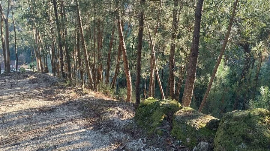 Terreno para Venda em Marco