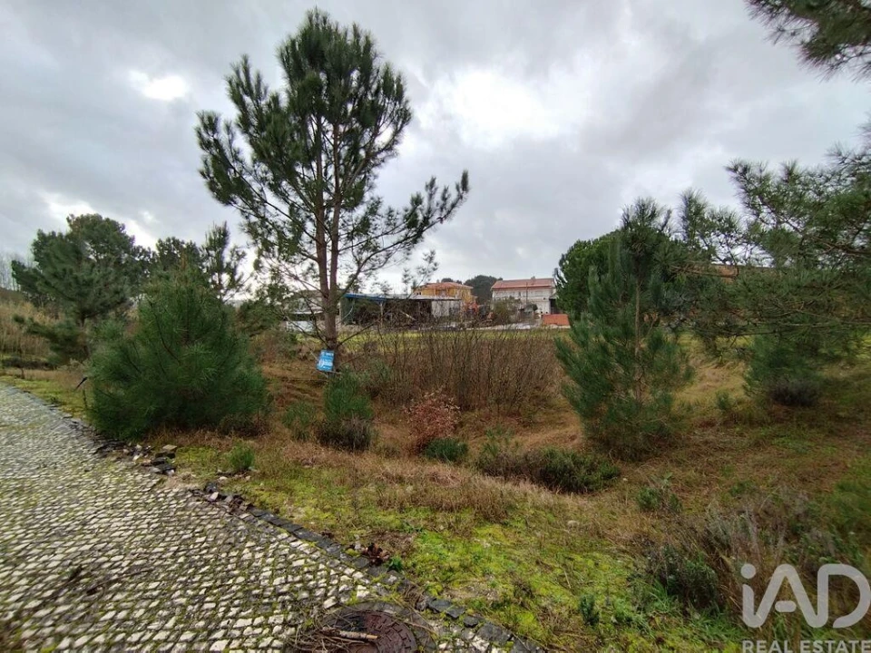 Terreno para Venda em Coz, Alpedriz e Montes Foto 11