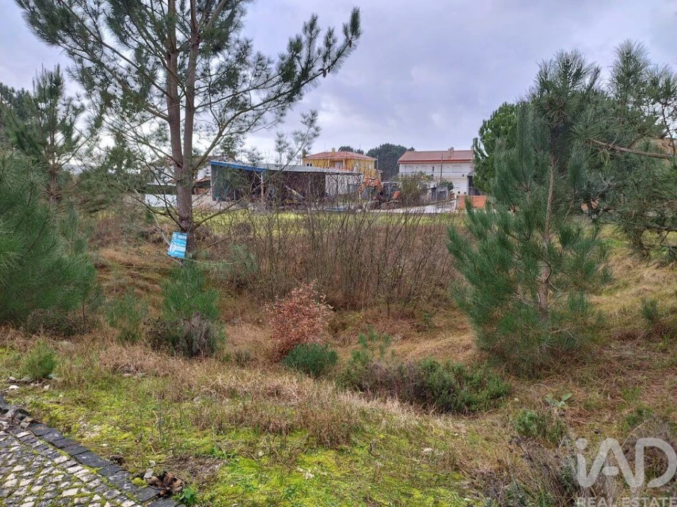 Terreno para Venda em Coz, Alpedriz e Montes Foto 7