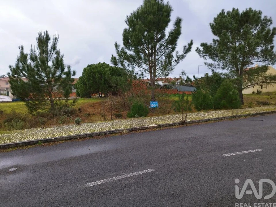 Terreno para Venda em Coz, Alpedriz e Montes Foto 13