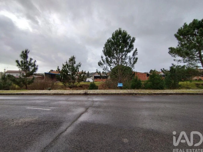 Terreno para Venda em Coz, Alpedriz e Montes Foto 12