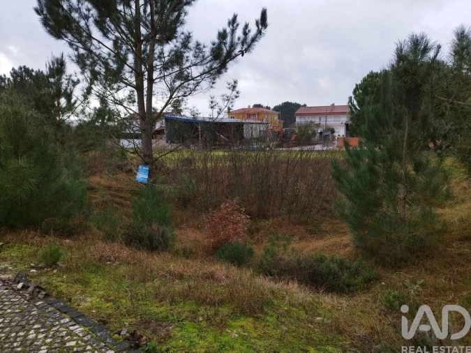 Terreno para Venda em Coz, Alpedriz e Montes Foto 5