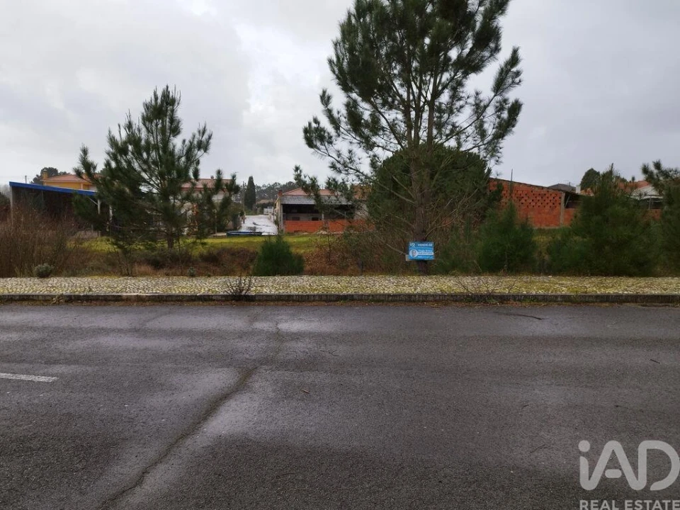 Terreno para Venda em Coz, Alpedriz e Montes Foto 14