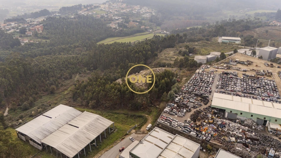 Terreno para Venda em Cruz Foto 2