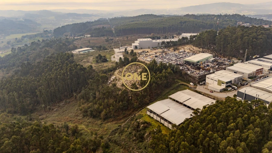 Terreno para Venda em Cruz Foto 11