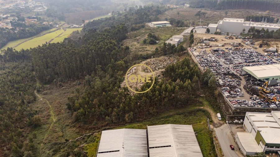 Terreno para Venda em Cruz Foto 8