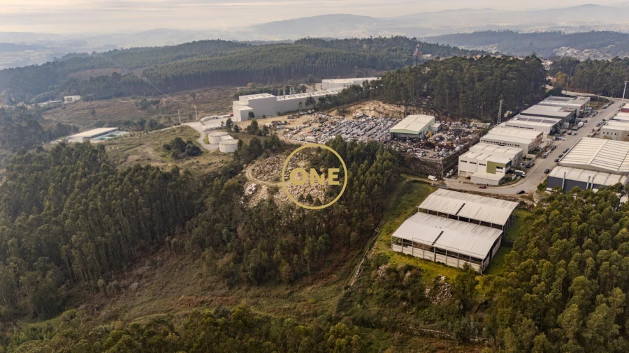 Terreno para Venda em Cruz Foto 12