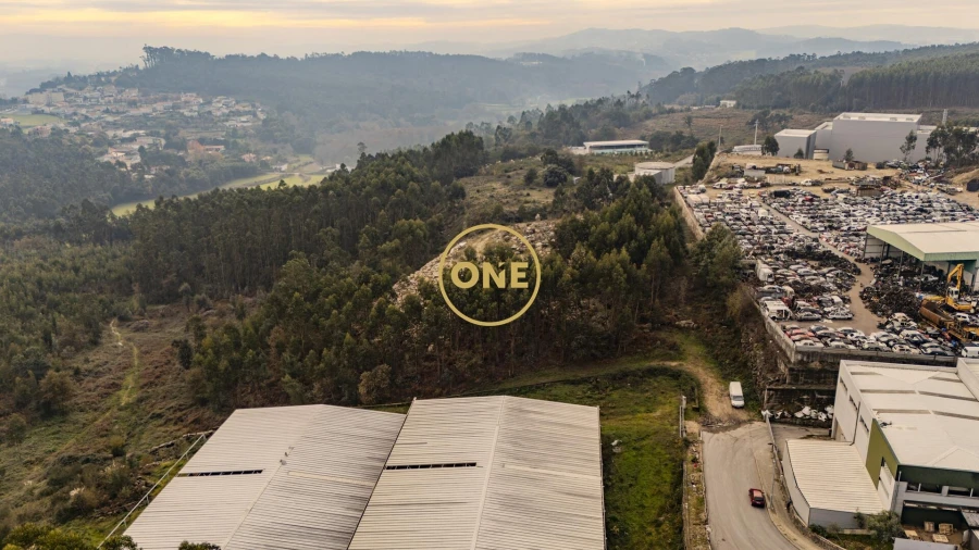 Terreno para Venda em Cruz Foto 7