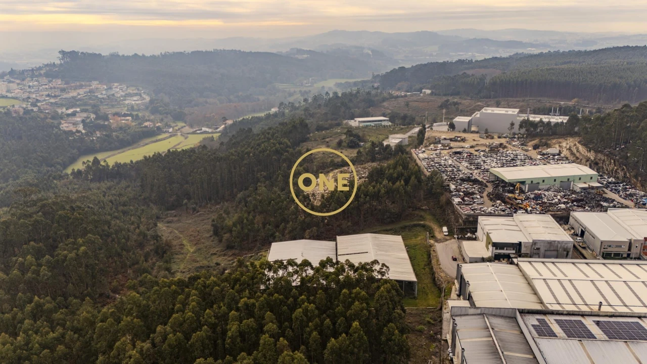 Terreno para Venda em Cruz Foto 9