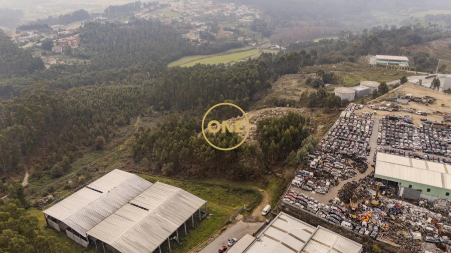 Terreno para Venda em Cruz