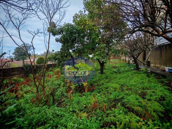 Terreno para Venda em Mozelos Foto 7