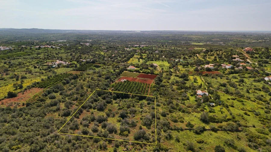 Terreno para Venda em São Bartolomeu de Messines Foto 10