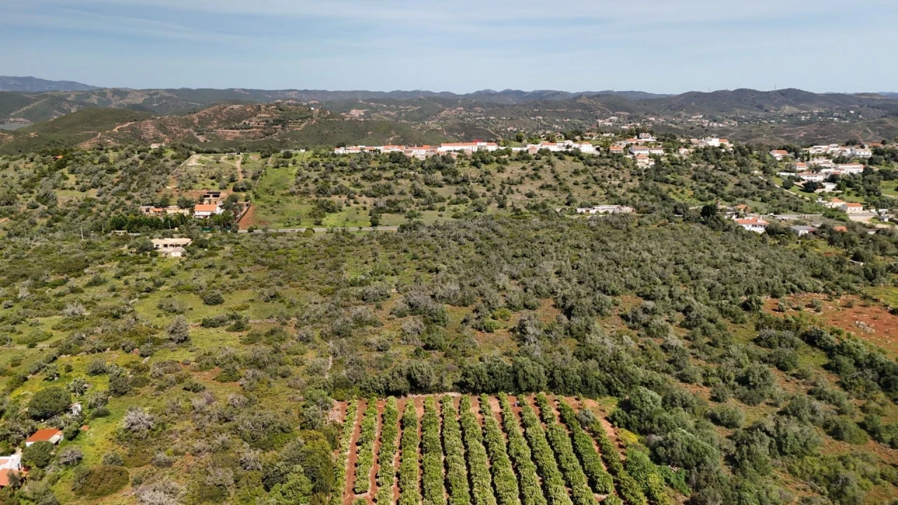 Terreno para Venda em São Bartolomeu de Messines Foto 8