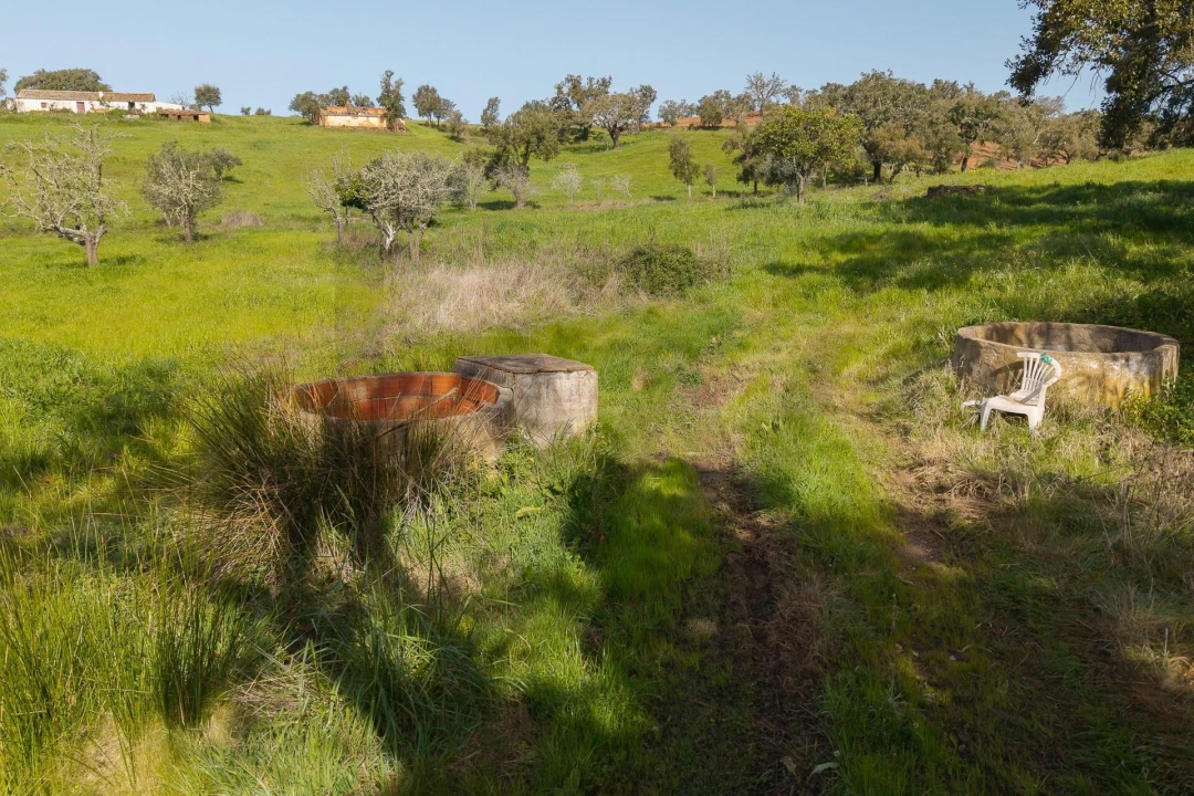 Quinta T5 para Venda em Cercal Foto 17