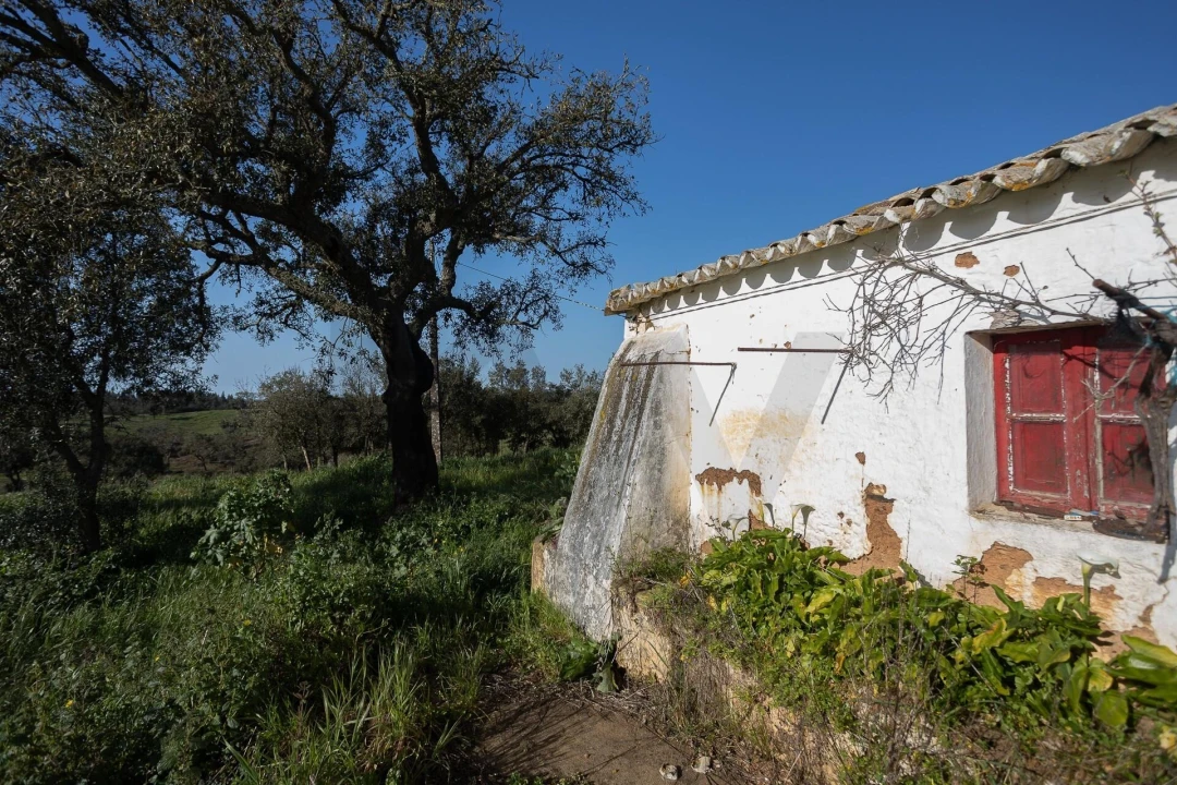 Quinta T5 para Venda em Cercal Foto 32