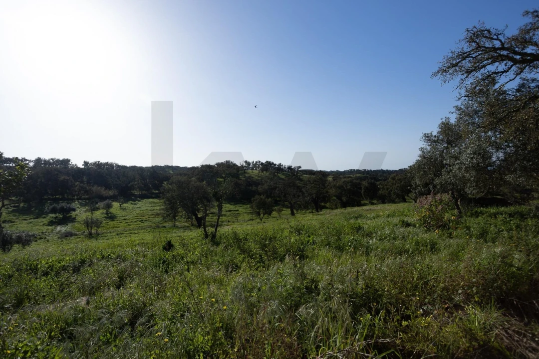 Quinta T5 para Venda em Cercal Foto 29