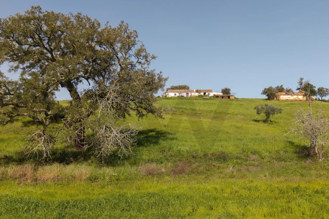 Quinta T5 para Venda em Cercal Foto 18