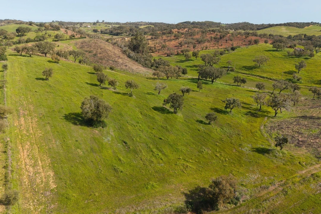 Quinta T5 para Venda em Cercal Foto 11