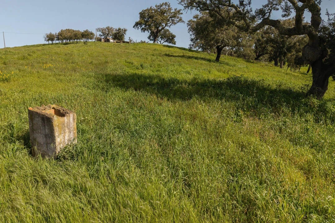 Quinta T5 para Venda em Cercal Foto 26