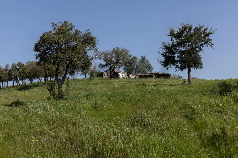 Quinta T5 para Venda em Cercal Foto 44