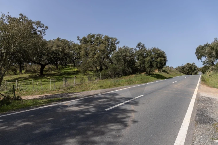 Quinta T5 para Venda em Cercal Foto 49