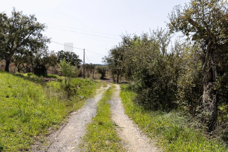 Quinta T5 para Venda em Cercal Foto 50