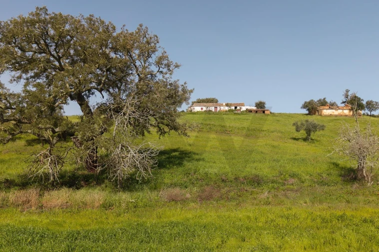 Quinta T5 para Venda em Cercal Foto 18