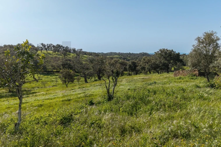 Quinta T5 para Venda em Cercal Foto 9