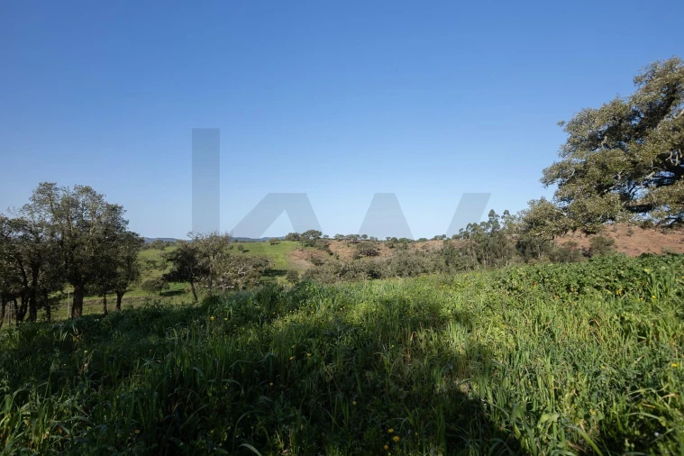 Quinta T5 para Venda em Cercal Foto 34