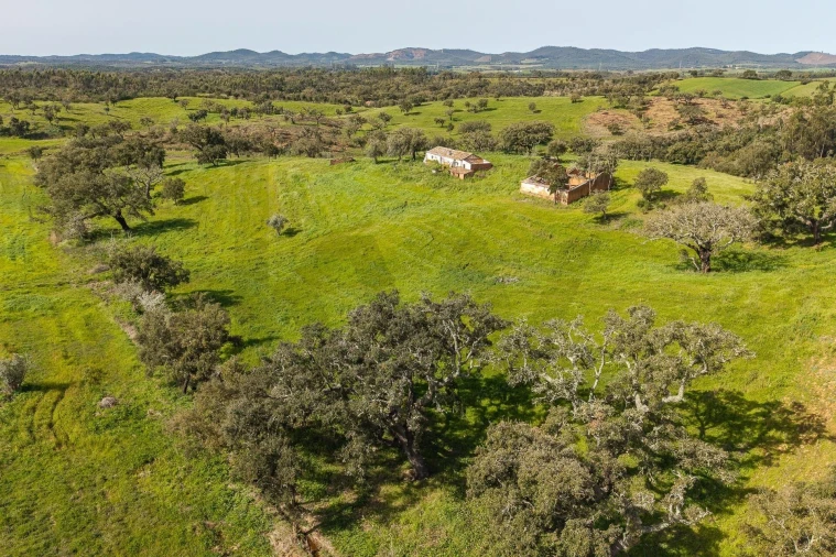 Quinta T5 para Venda em Cercal Foto 13