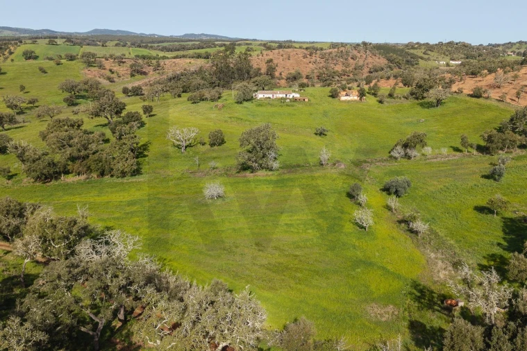 Quinta T5 para Venda em Cercal Foto 4